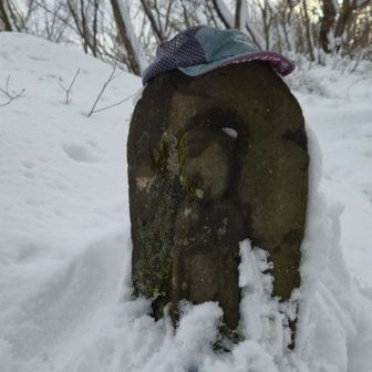 🙏
雪に埋まり始めた❄