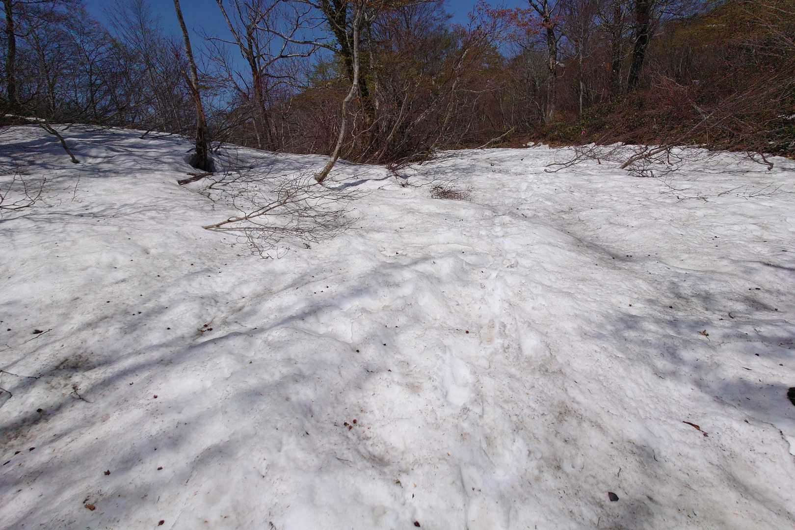 アイゼン無しで歩けました。