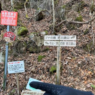 石山・深山の路へ