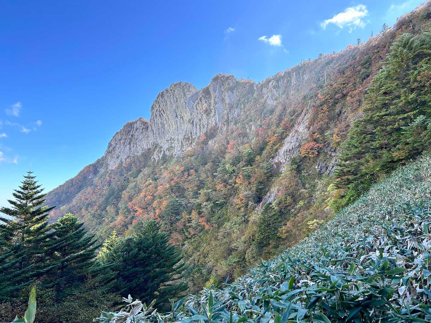 石鎚山 土小屋ルートの写真