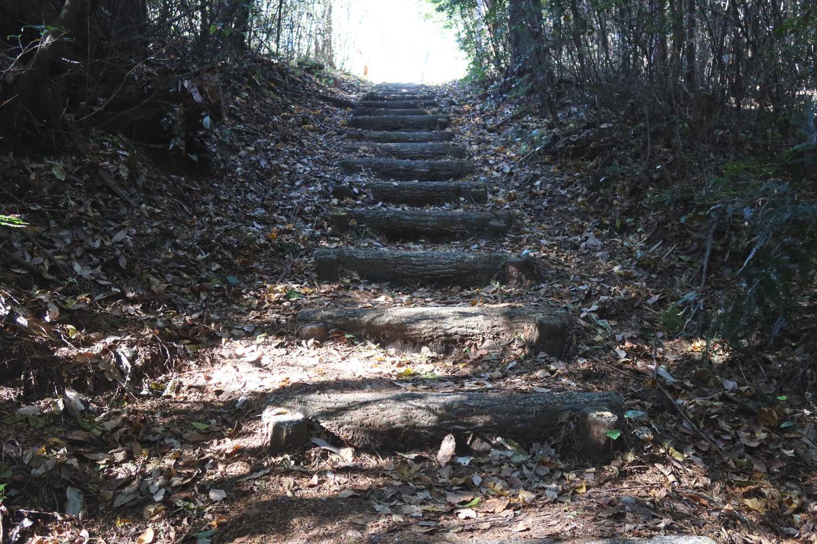 ここから170m標高を上げます