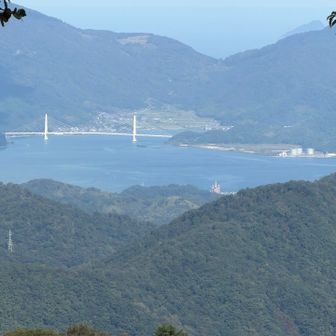舞鶴湾