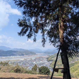 トレイルはじめた去年の夏の暑い時期に初めて来たのを思い出しました。