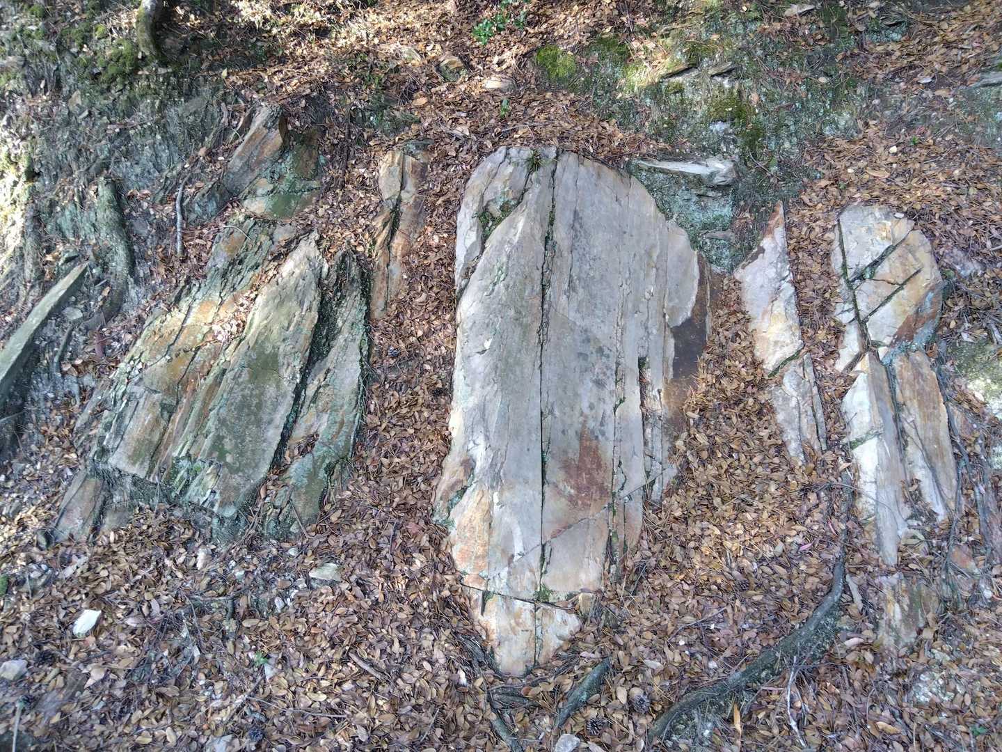 正一位稲荷大明神-香色山 往復コースの写真