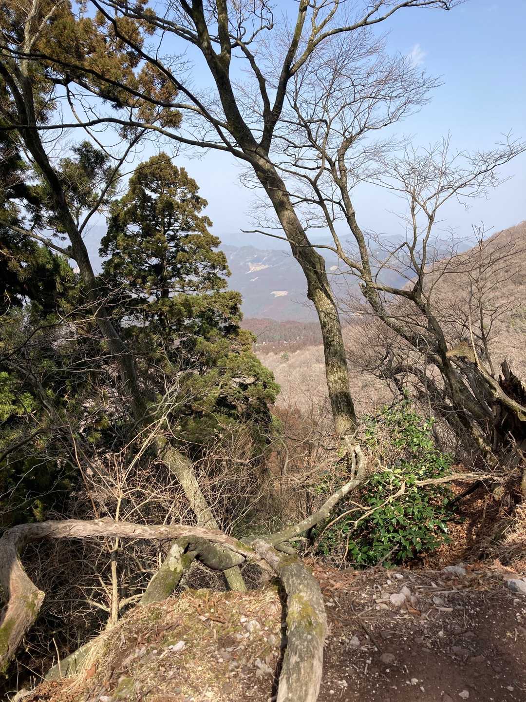 途中は景色が良いところもありました。