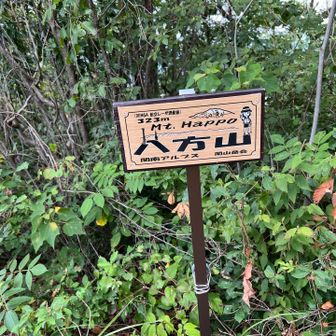 八方山、真新しい山頂標