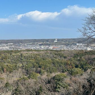 木更津市が見えました