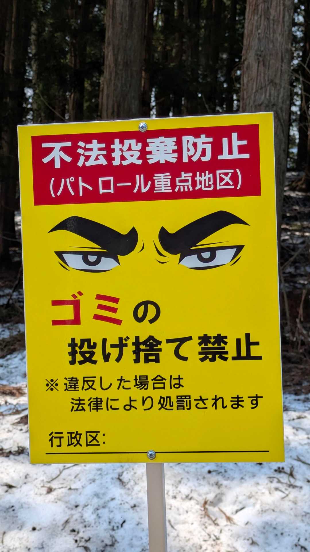 あ！見つかった！？笑