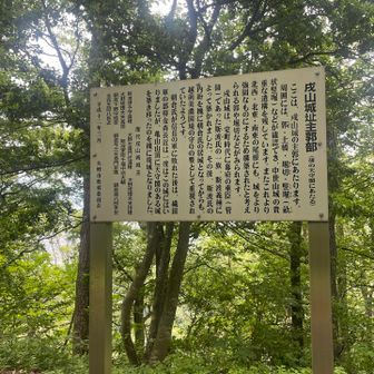 17分で戌山城址に到着🫠