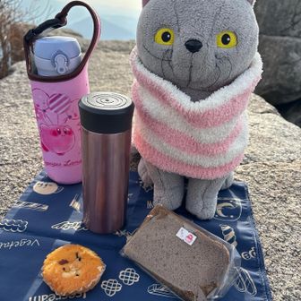 寒いから食べるの迷ったけどせっかくだから…
手作りマドレーヌとシフォンケーキ🍪

9月
2学期始まるけど次女は学校を休みがち　
カウンセラーの勧めもあり、心療内科を受診🏥
学校には行きたいけど朝になるとお腹が痛くなる過敏性腸症候群
長女の死を受け入れられないという精神的なことからきているらしい