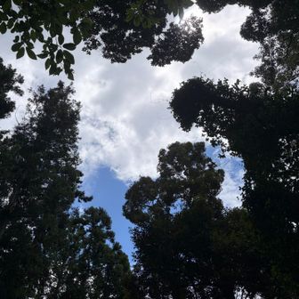 はぁ、終わっちゃうなー