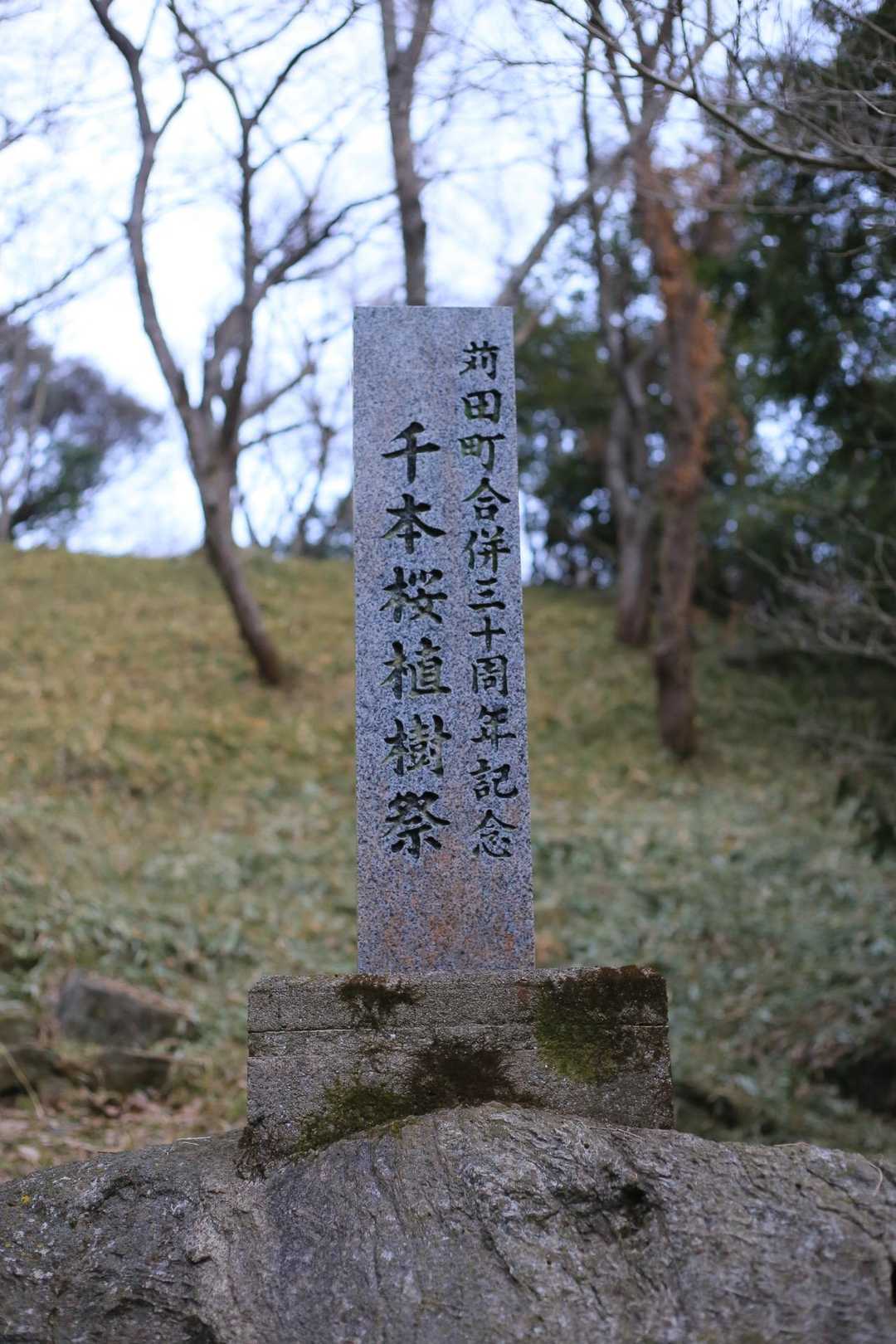 千本桜だって🌸
4月が楽しみだね😊