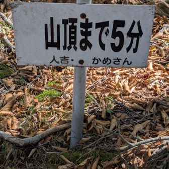 この看板、いつも最後の力を振り絞れます。
