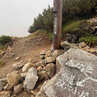 丸山を過ぎ、双六岳直下のトラバース路を歩みます