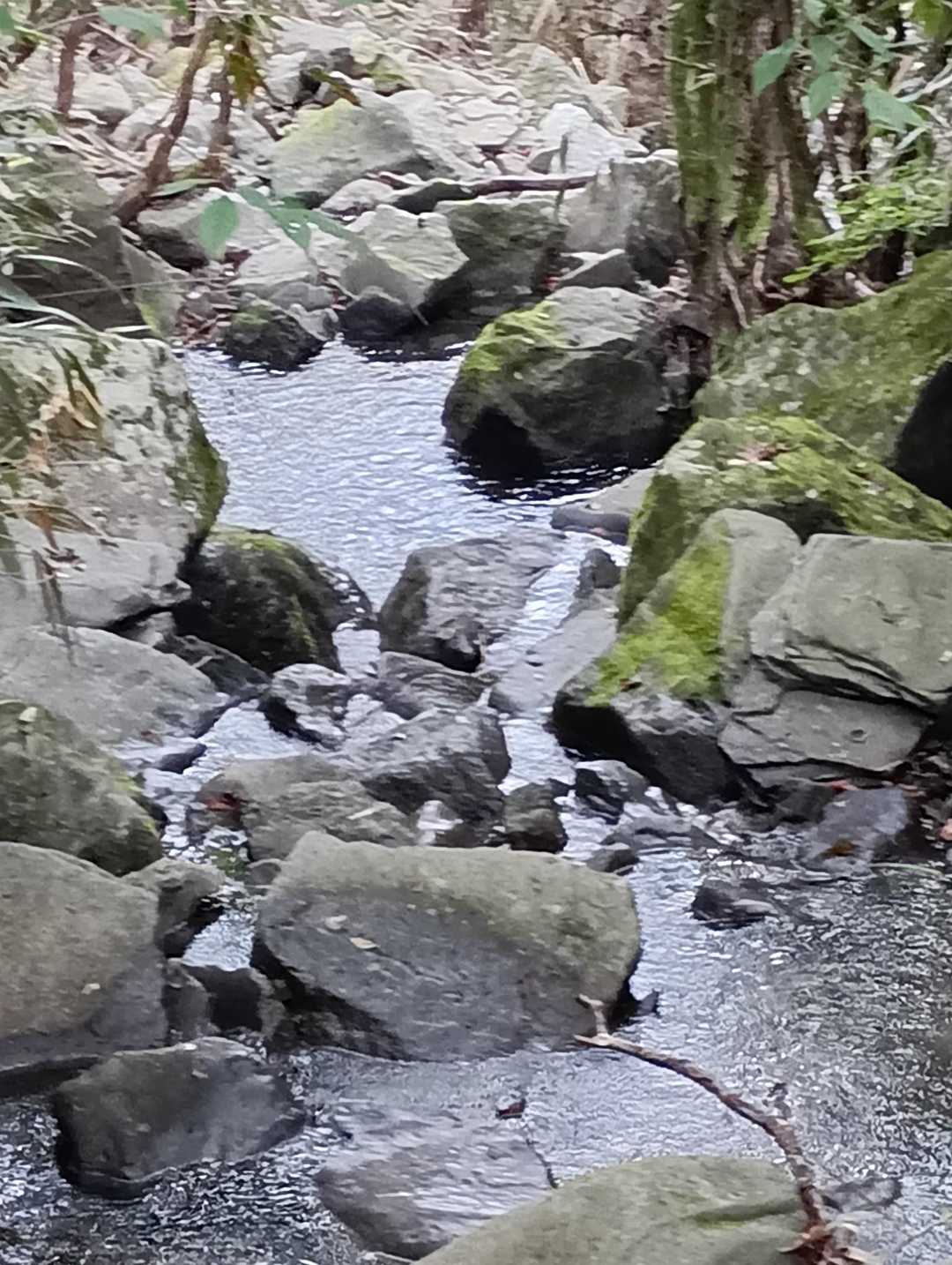 高城山 往復コースの写真
