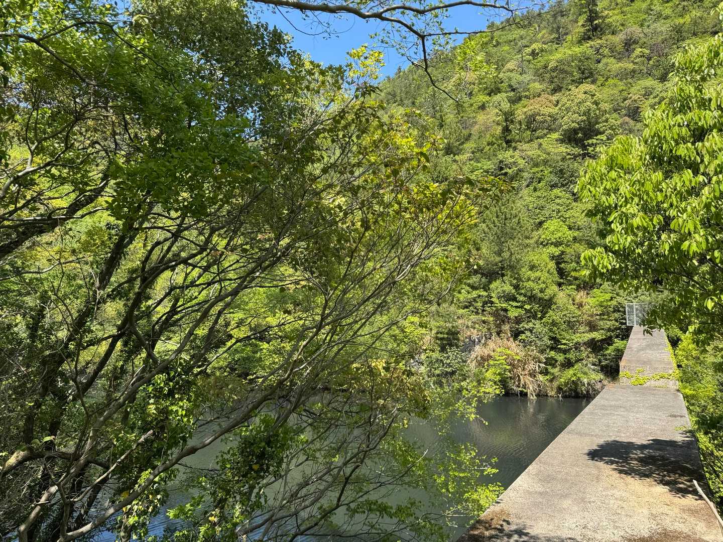 七宝山登山口-南七宝山-稲積山 往復コースの写真