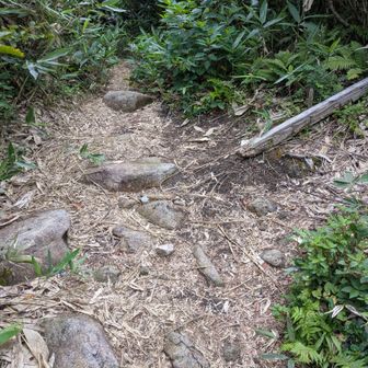 苅安山　能郷白山温見峠の反対側にも同名のピークがある