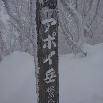 今年もよろしくお願いします。