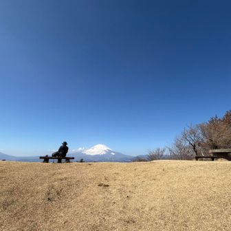 気持ちの良い青空ですね〜