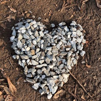 ハート❤️ちゃん　元気やったか？また雪だねー今度いつ会えるかなーー