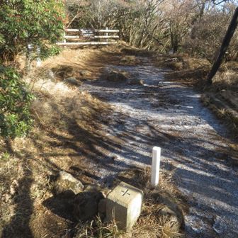 かすかにウッスラ積もって