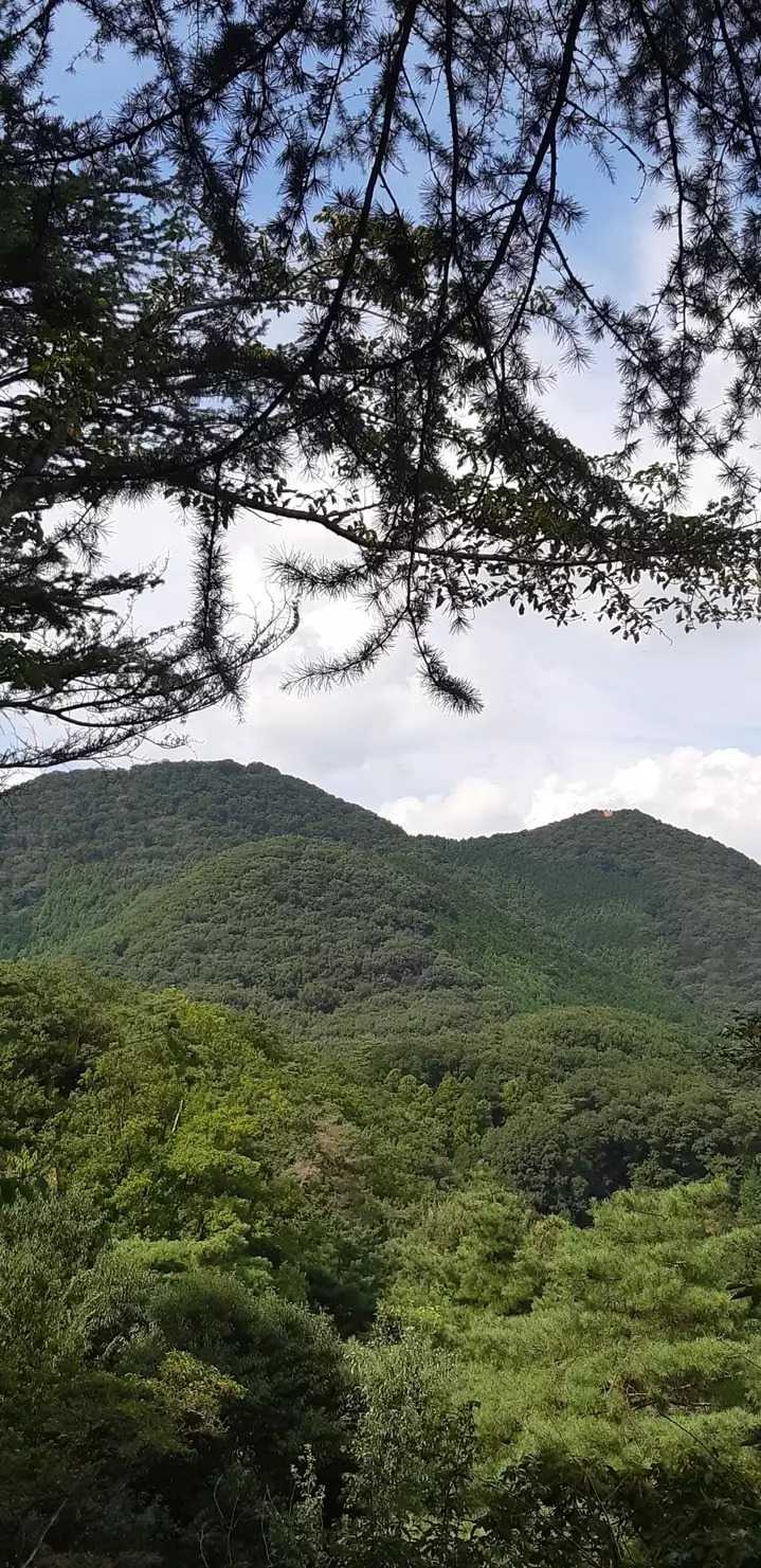 吾妻山の写真