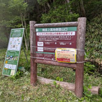 ひと安心