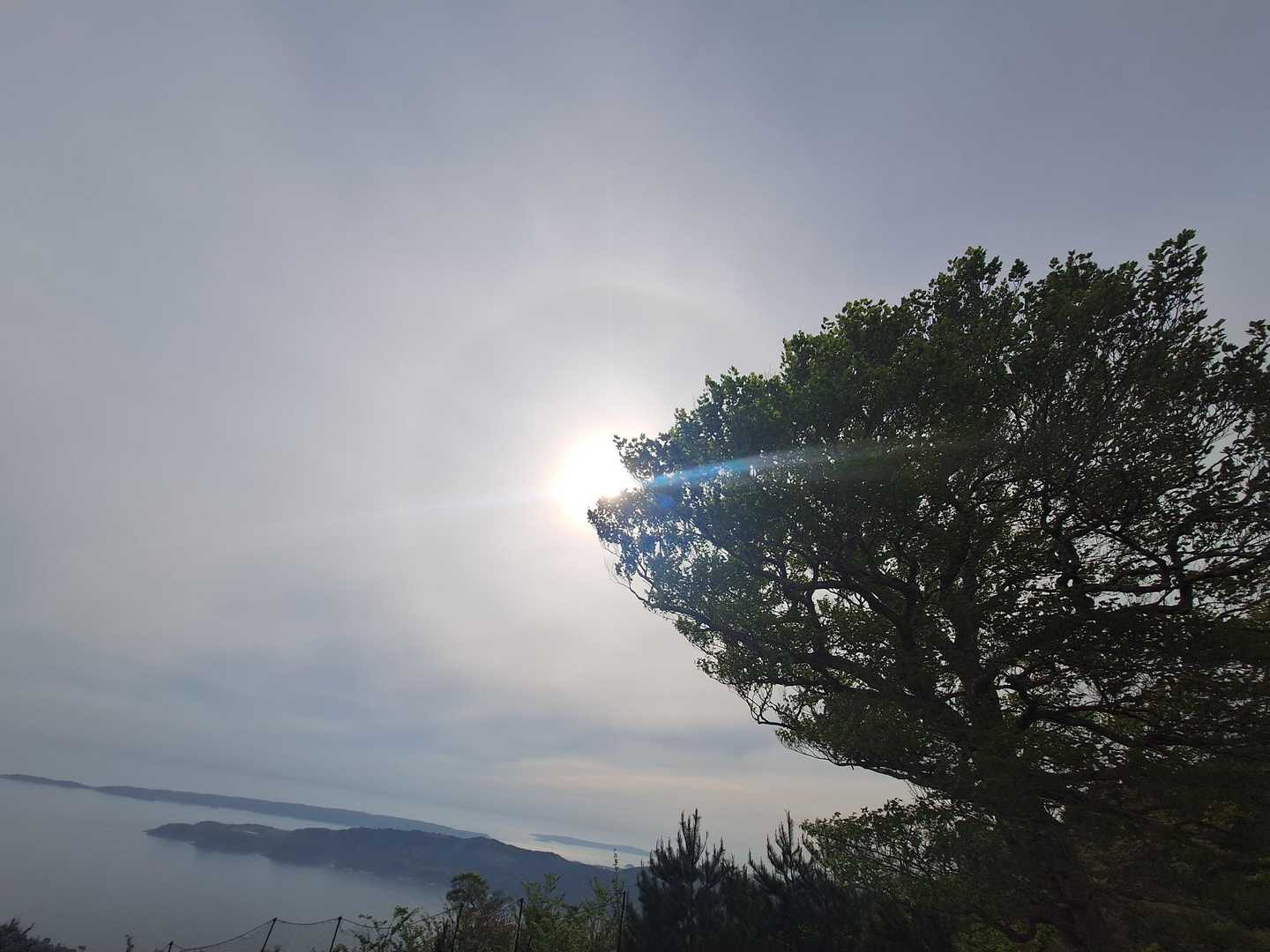 鹿山-金華山 周回コースの写真