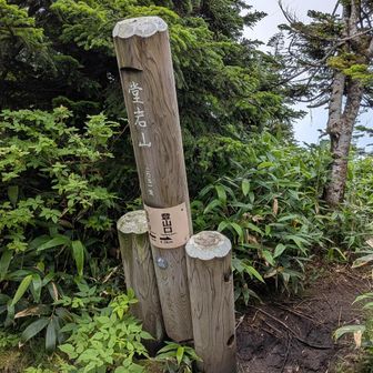1つ目のピーク。なんも見えない