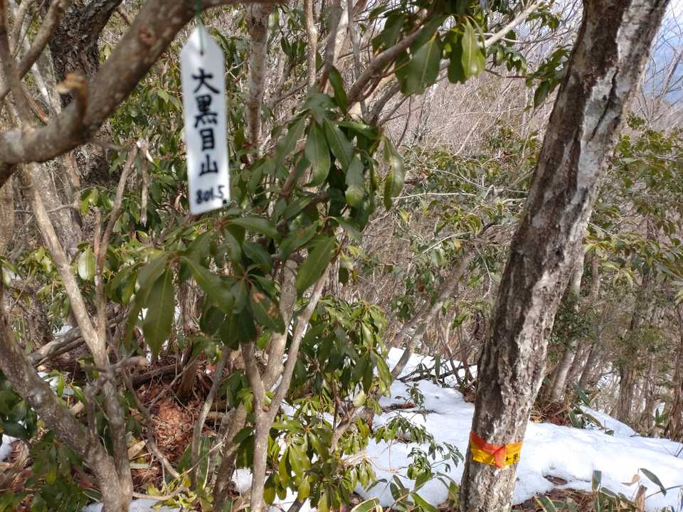 山頂
