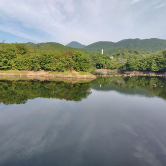 ちょっと水が少ないような…
ここって冬場はワカサギ釣りができるって看板に書いててびっくり😯
ワカサギ釣りって氷に穴空けてするもんだと思ってたよ…
ワカサギ、好きなんですよね〜🤤