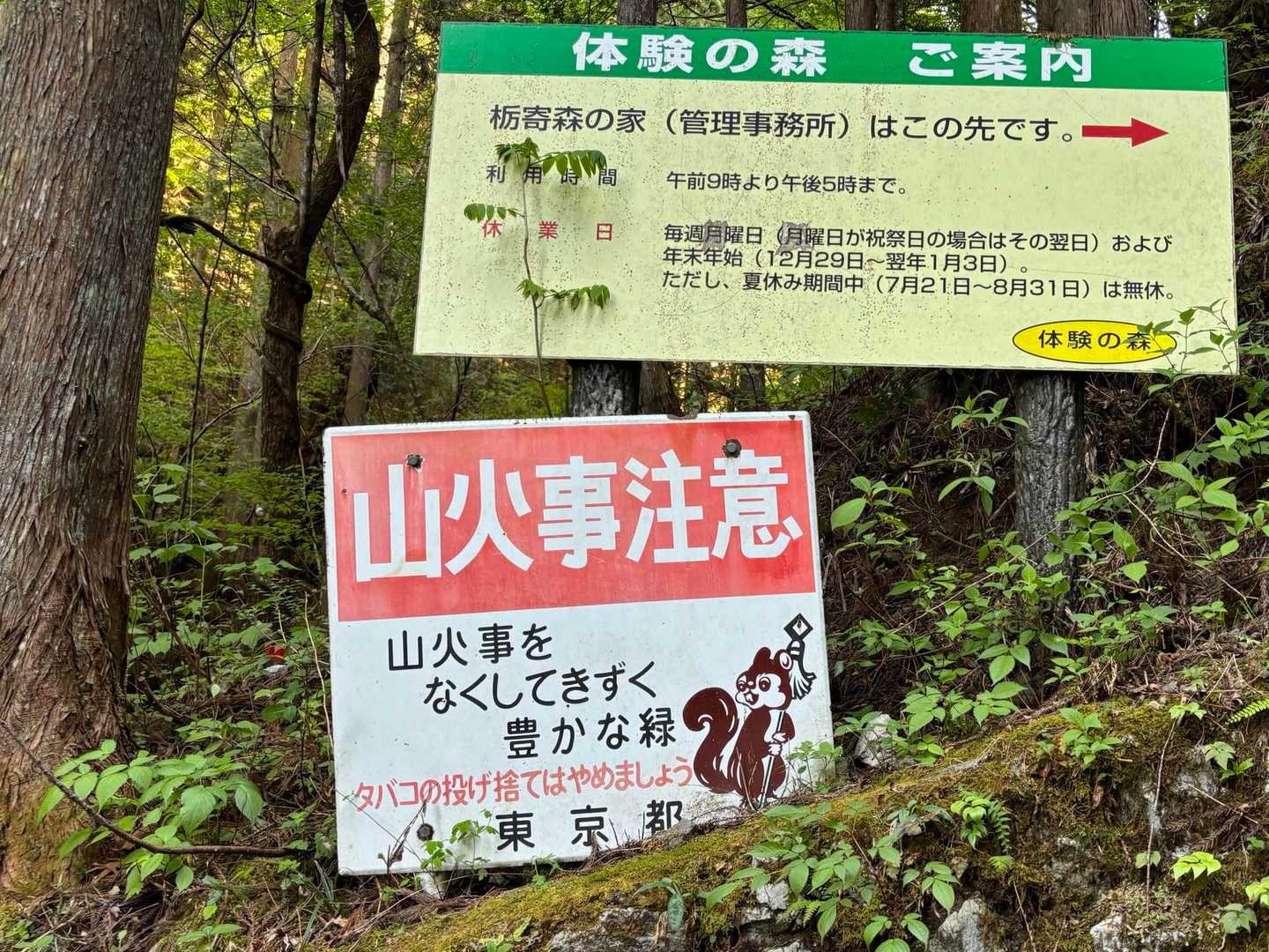🐿️