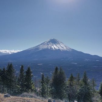 展望台に登らなくてもこんなに素敵な富士山が見える🗻