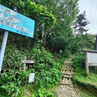 登山口