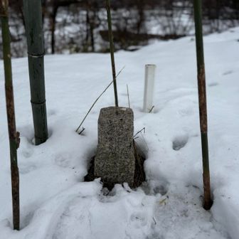 高瀬山へ
※むかし昔、高瀬山古墳群(畑みたいなところ)に土器掘に来たけど、あの土器は本物だったのかなぁ