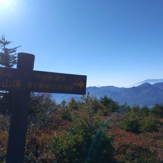 ちーーっさく🗻富士山
（標識の右）
右手に下ると四阿高原への分岐↑→