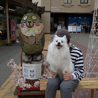 こもしかちゃん