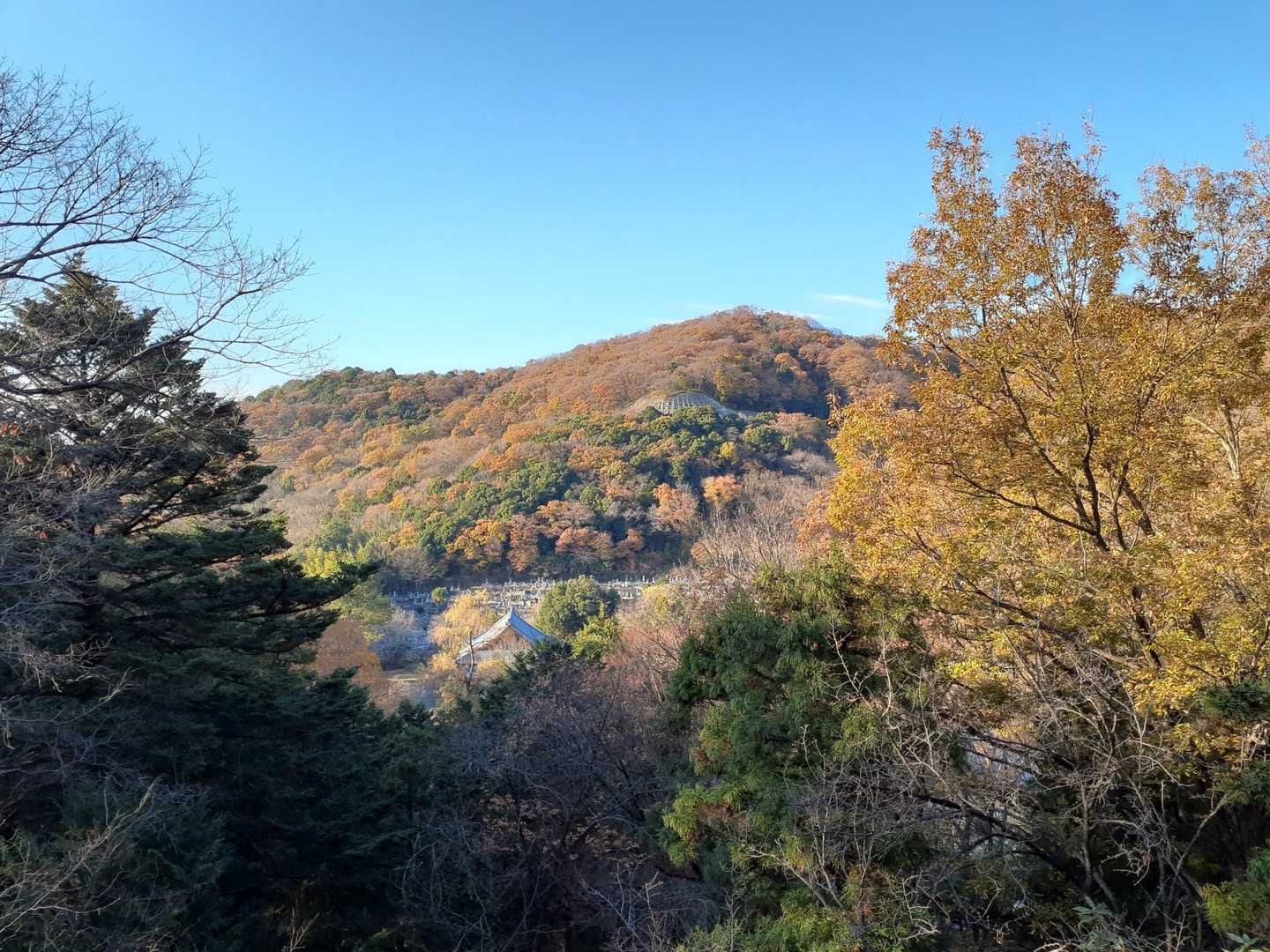 山川浅間山-あわぎ山-大坊山 往復コースの写真