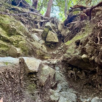 よじ登り🪨