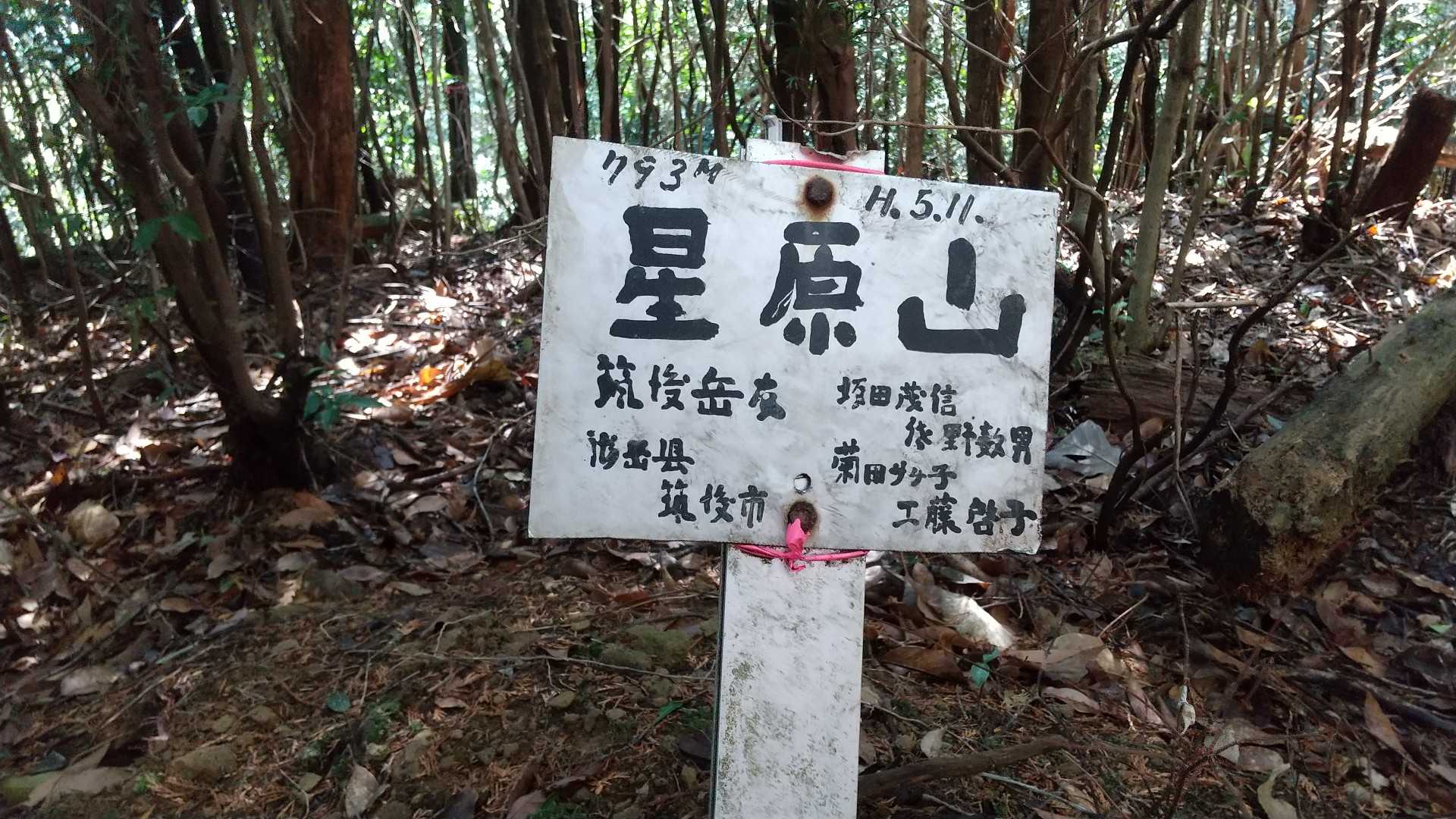 星原山の写真