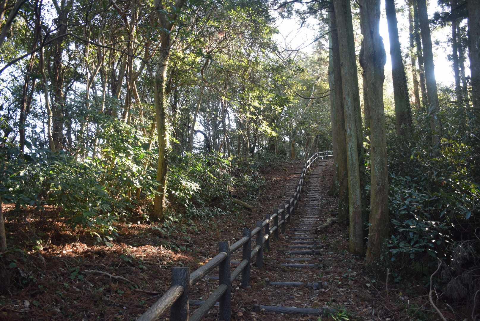 宝篋塔山-鷹取山-御殿山 周回コースの写真