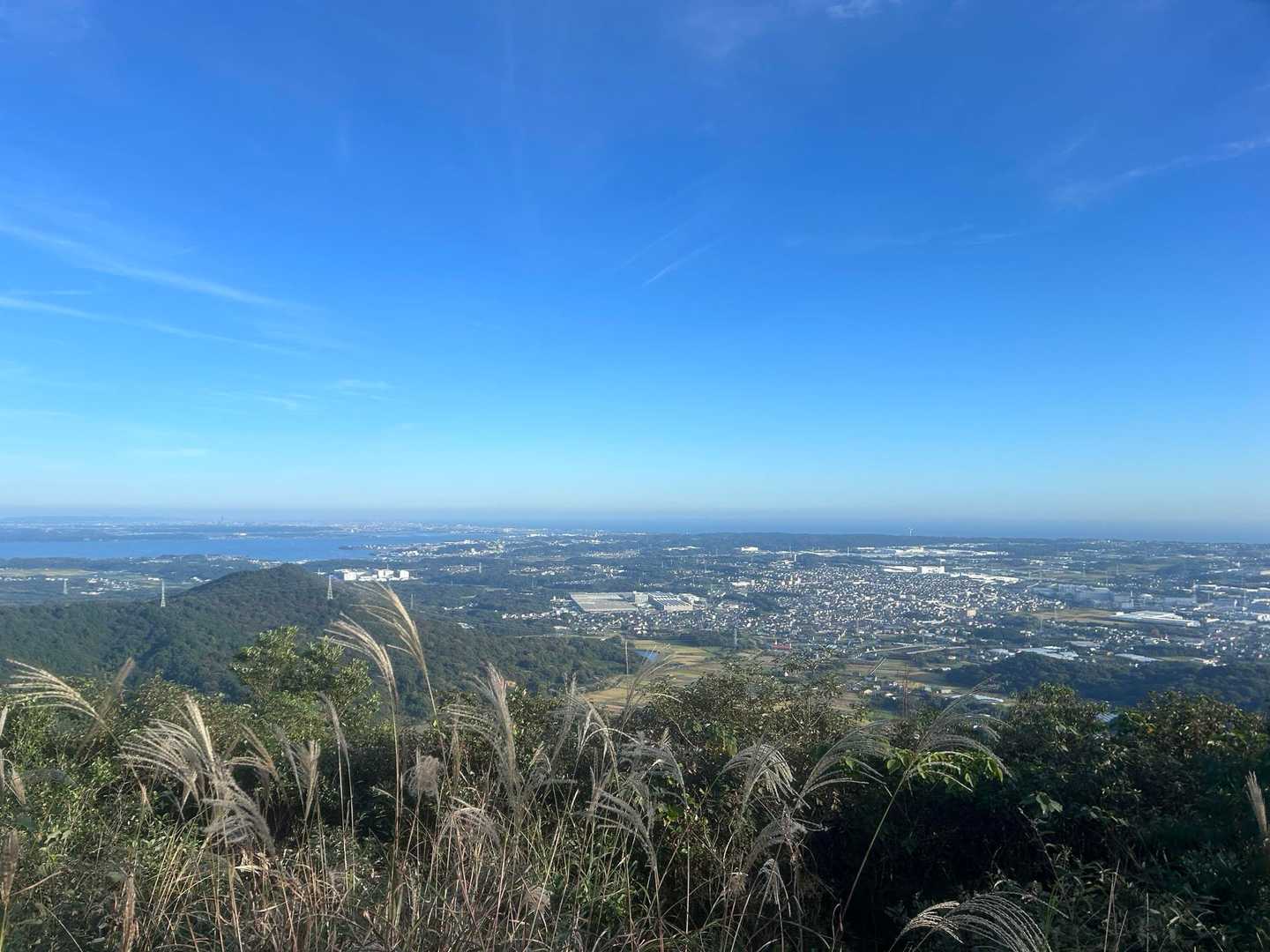 豊橋の街がよく見えます