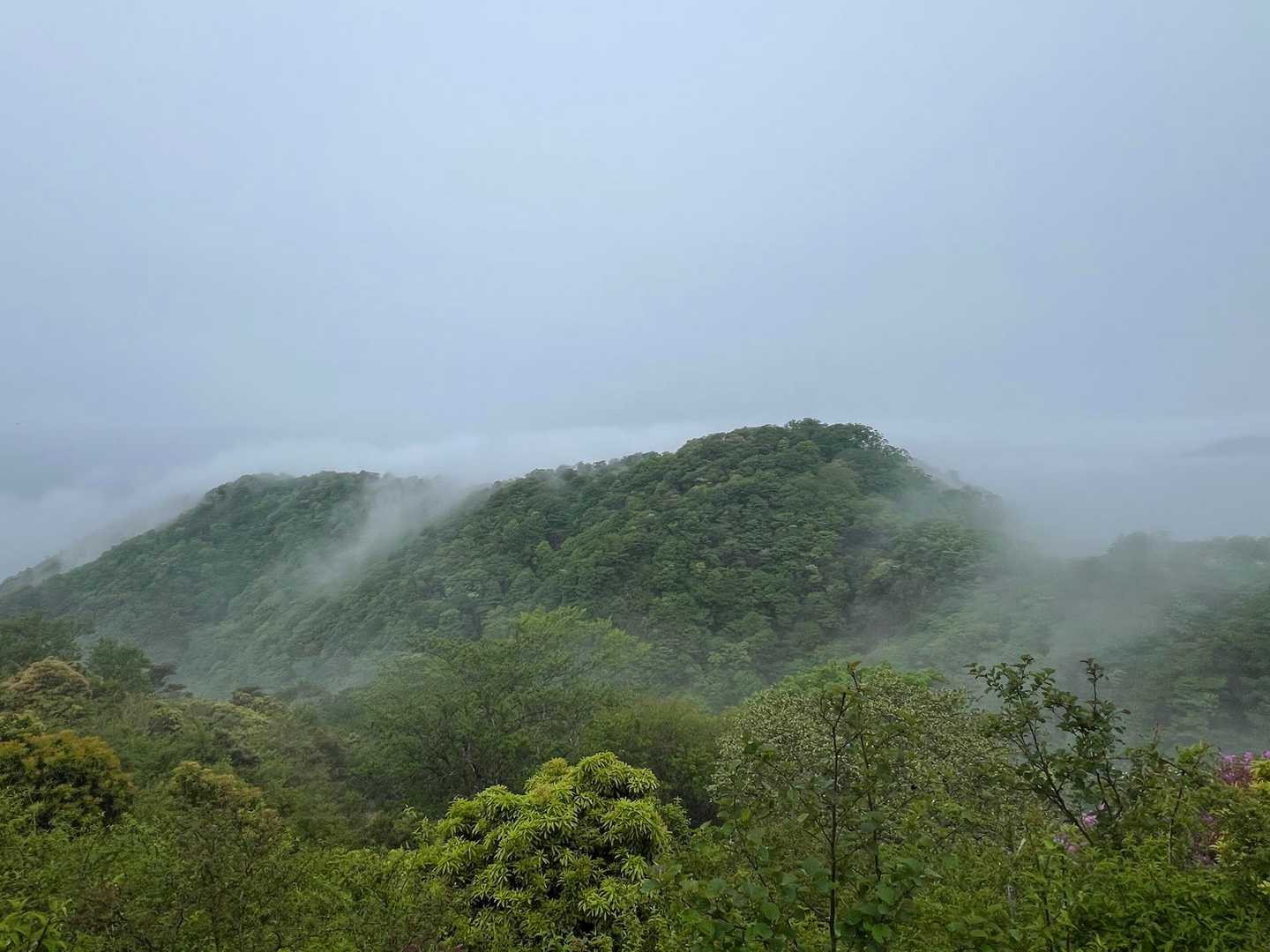 鍋割山稜、小丸尾根あたりのほんのり滝雲に対して…好き🫶
ってなってたけど、写真撮るのはそこそこにして目をバッキバキにして駆け下りて行きます。