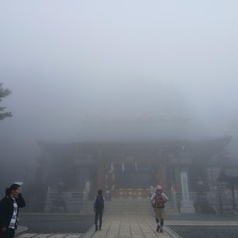 すごいな！
山頂は全く見えません

すれ違いの方が山頂すごいよ🤩って言われてましたが本日は足慣らし
ここまで○