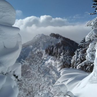 撮影時に画面は見えていなかったのですが、木と雪面で不思議な遠近感ですね