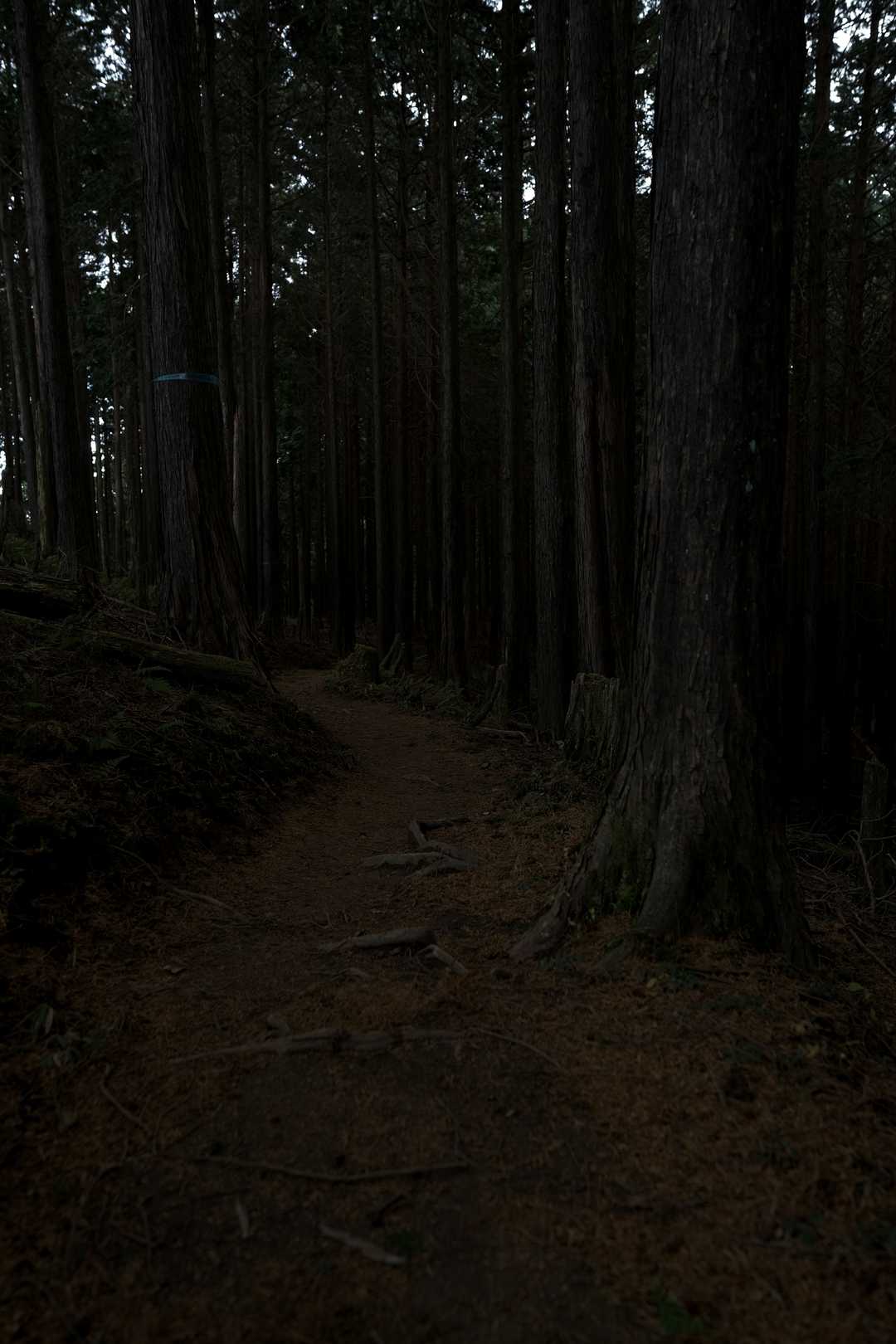 もう少し💨💨💨