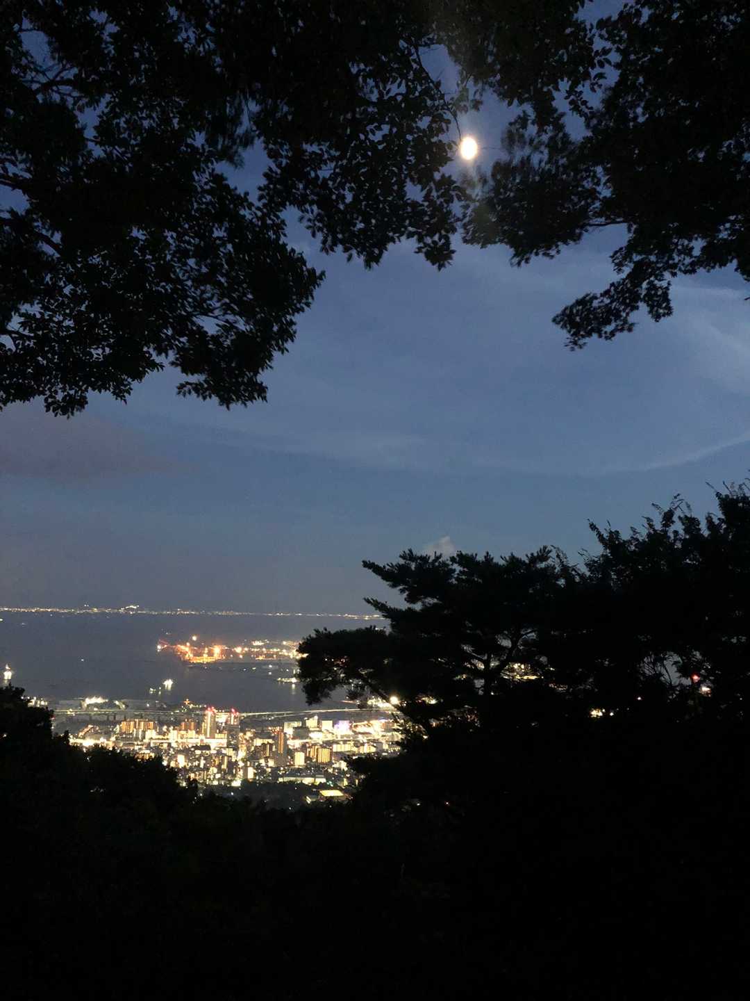 新神戸駅-滝山城跡登山口 縦走コースの写真