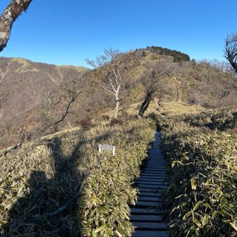 景色がずっと良い✨