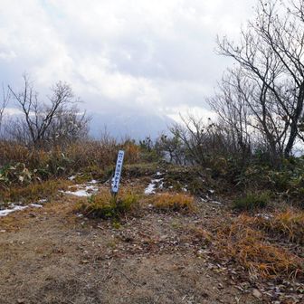 山頂は広くなっている