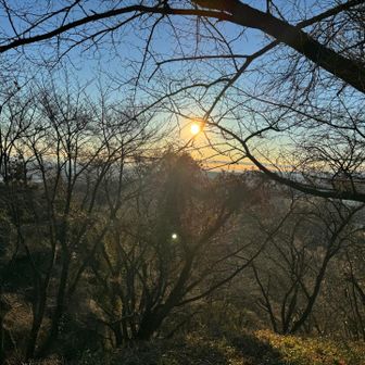 整備されたみたいでとても歩きやすかったです。
ロビーちゃんアテンドありがとう😊
今年もいっぱい歩きましょうね。

今日は実家に新年の挨拶。
今、電車を使ってのんびり旅中。
ちょっとアクシデントあり🤣八高線じゃなく。